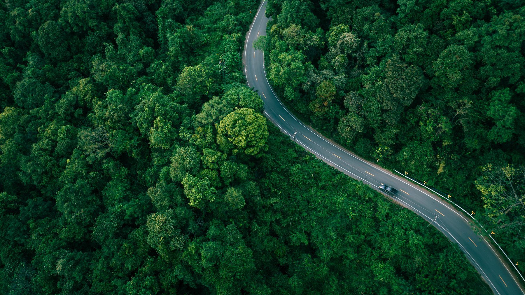 Route sinueuse à travers une forêt verdoyante vue du ciel — métaphore du conseil patrimonial sur le long terme